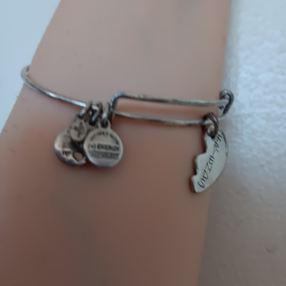 Alex and Ani Vintage Best Friends Bracelet - Picture 7 of 8